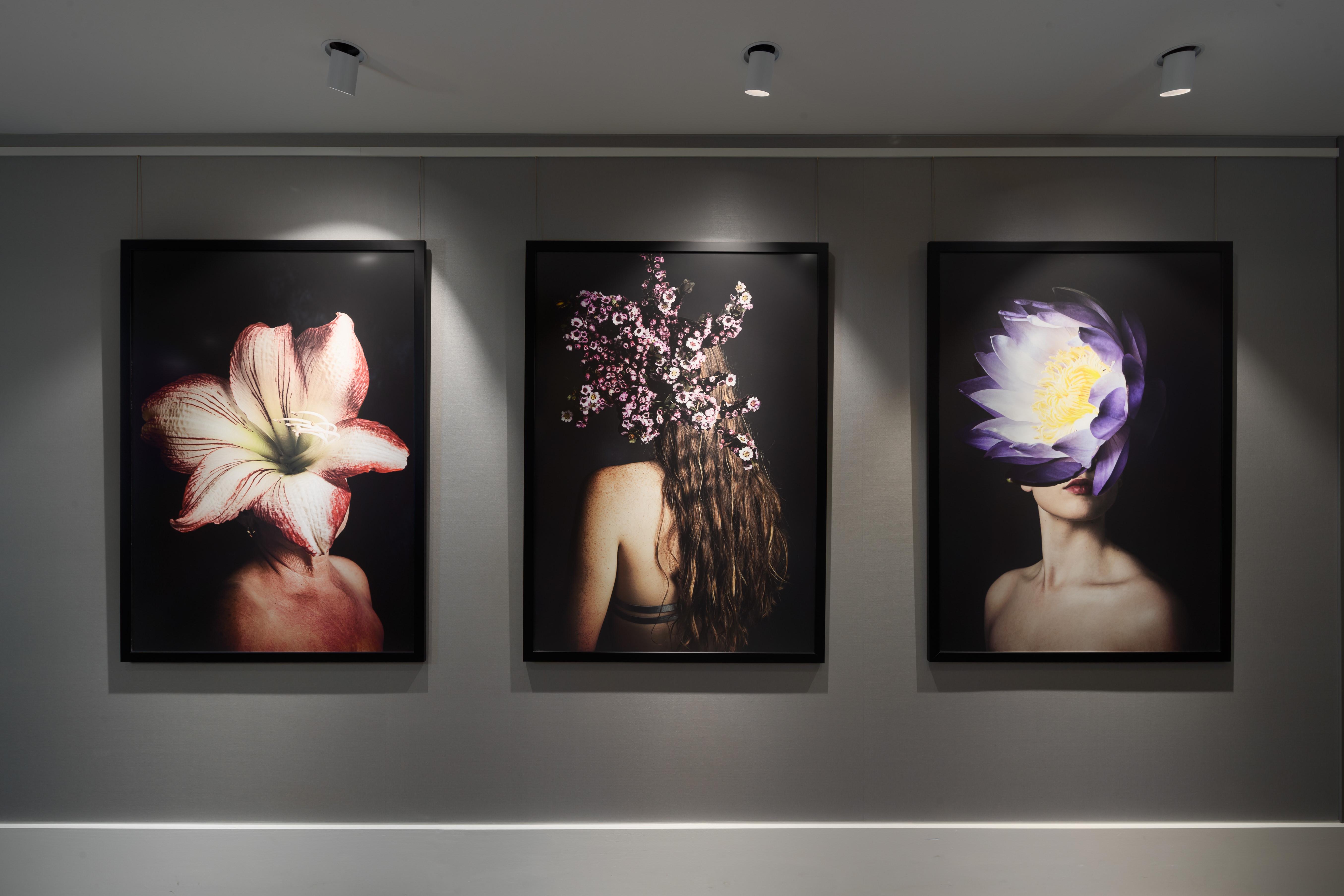 فندق Crystalbrook Bailey كيرنز المظهر الخارجي الصورة The Flower Series